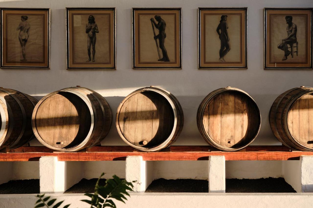 Ecofinca Aulaga Masdache Esterno foto