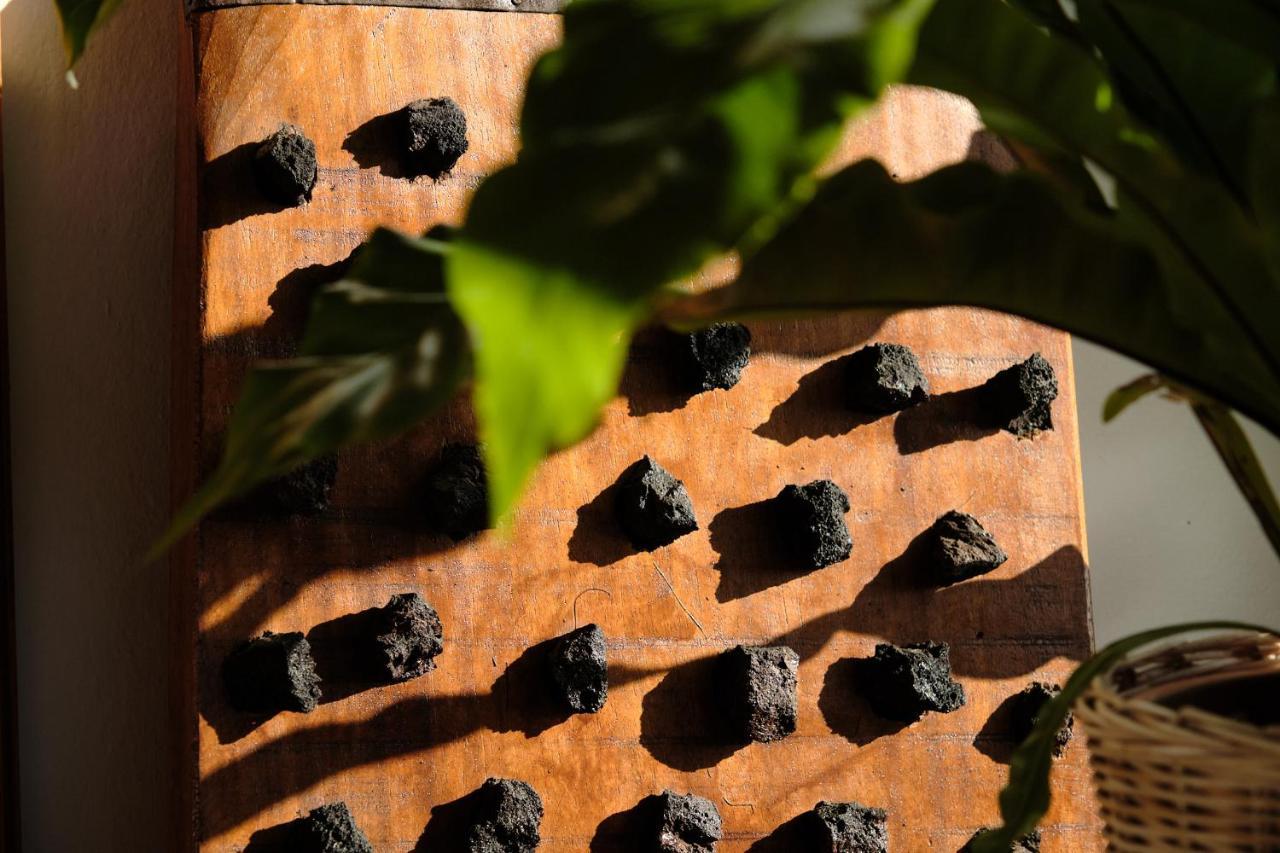 Ecofinca Aulaga Masdache Esterno foto